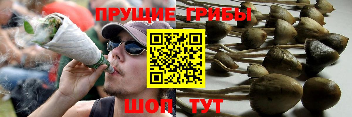 Псилоцибиновые грибы ЛСД Вичуга